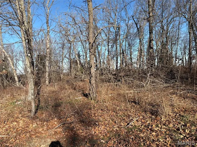 $279,900 | 420 Dairy Road, Elkland, MO 65644