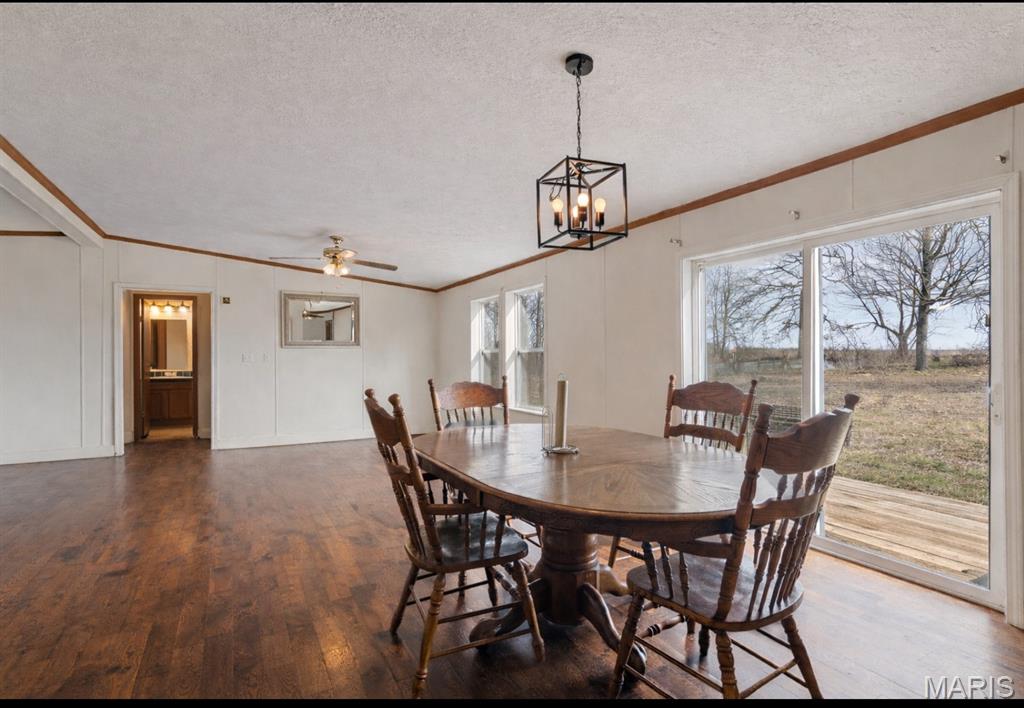 420 Dairy Road Elkland, MO 65644 - Photo 6 of 33