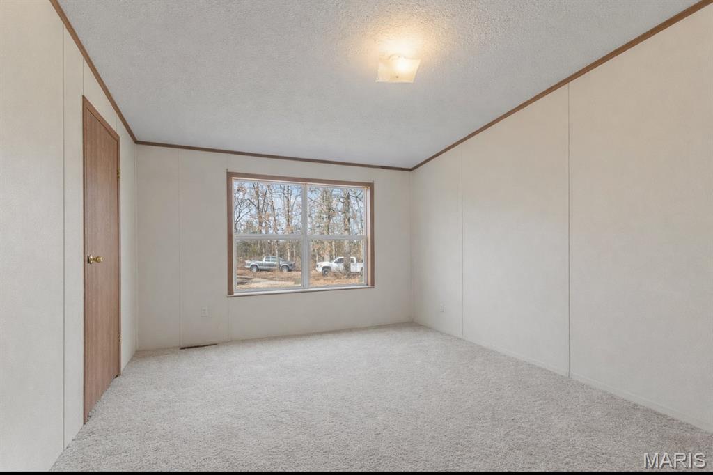 420 Dairy Road Elkland, MO 65644 - Photo 9 of 33