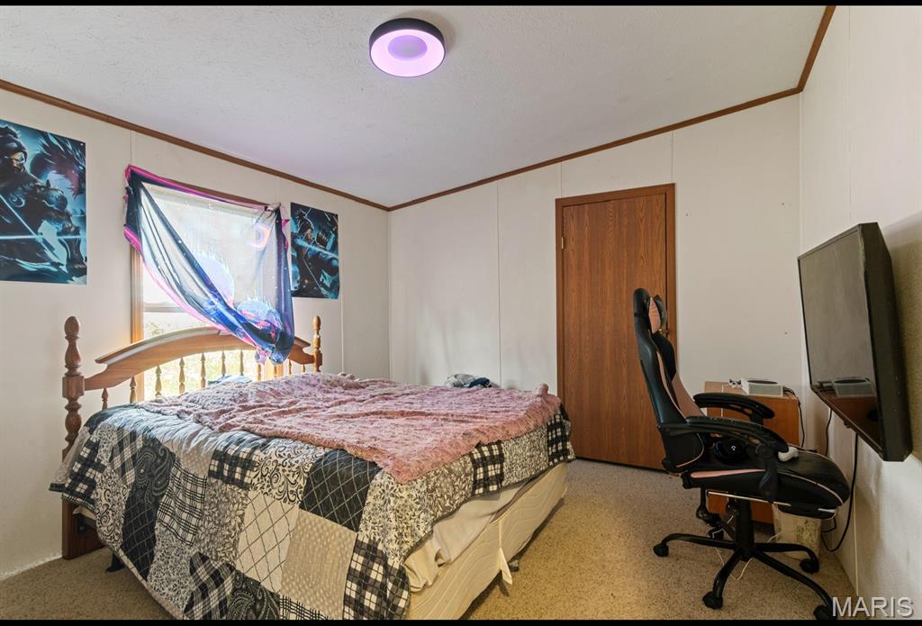 420 Dairy Road Elkland, MO 65644 - Photo 10 of 33