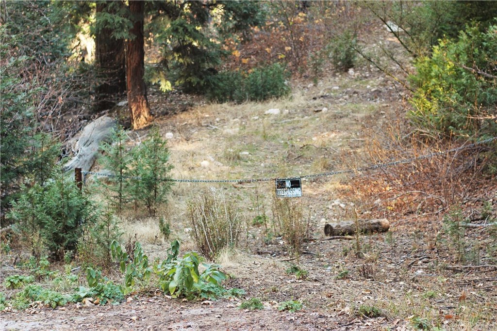 0 Maple Road Skyforest, CA 92385 - Photo 1 of 32 a view of a yard with trees