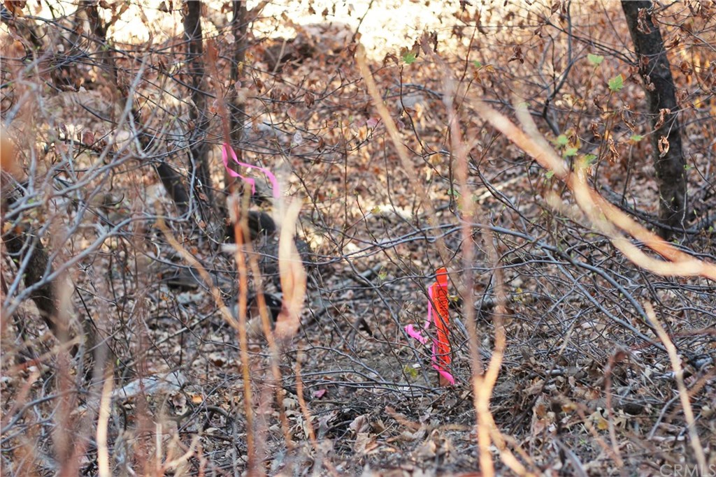 0 Maple Road Skyforest, CA 92385 - Photo 13 of 32