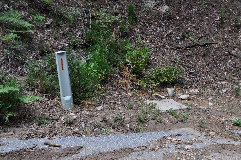 0 Maple Road Skyforest, CA 92385 - Photo 23 of 32 a backyard of a house with lots of green space