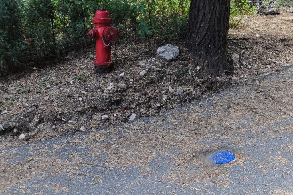 0 Maple Road Skyforest, CA 92385 - Photo 25 of 32 a view of a backyard space
