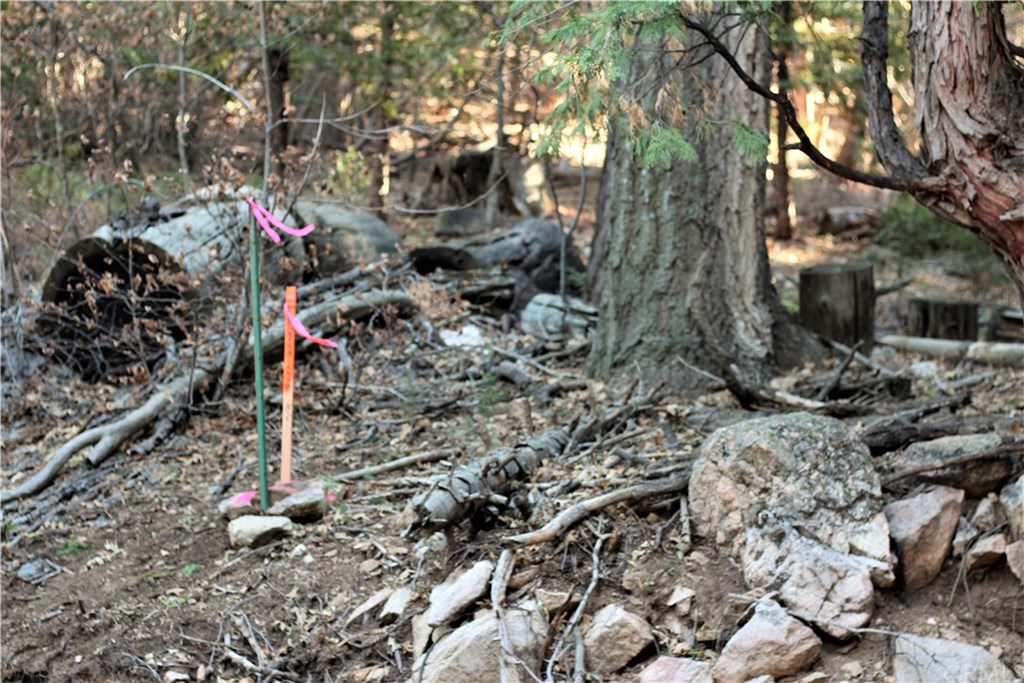 0 Maple Road Skyforest, CA 92385 - Photo 4 of 32 a backyard of a house with lots of green space