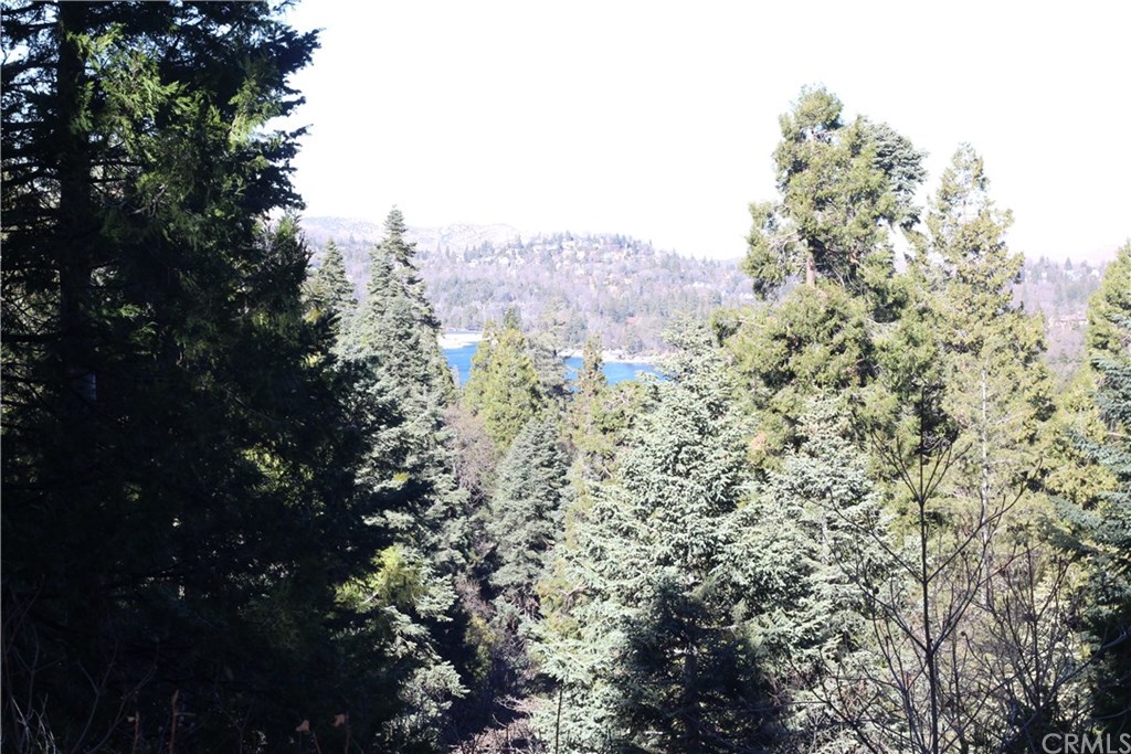 0 Maple Road Skyforest, CA 92385 - Photo 6 of 32 a view of a tree in a yard