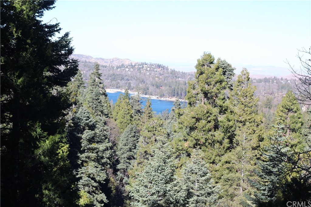 0 Maple Road Skyforest, CA 92385 - Photo 8 of 32 a view of a bunch of trees
