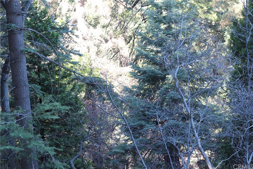0 Maple Road Skyforest, CA 92385 - Photo 9 of 32 a view of a forest with lots of trees