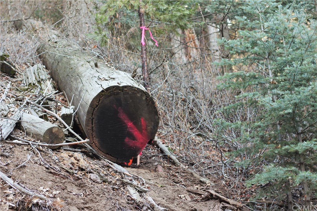 0 Maple Road Skyforest, CA 92385 - Photo 10 of 32 a view of entryway