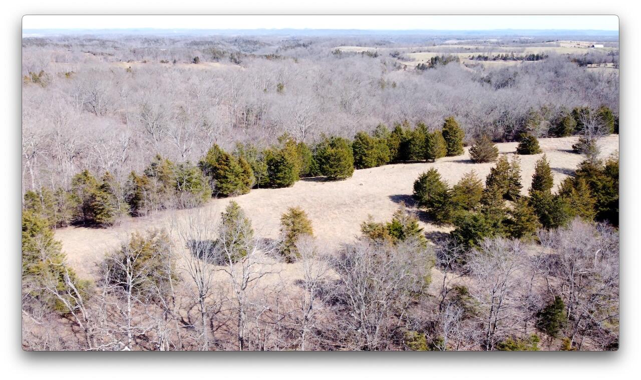0 Washington Branch Road Owingsville, KY 40360 - Photo 8 of 20 9