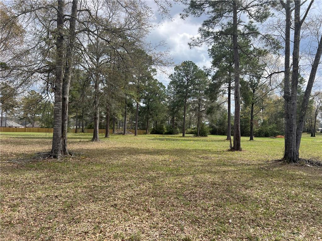 152 Graystone Road Dry Prong, LA 71423 - Photo 1 of 4 Gallery Image 1