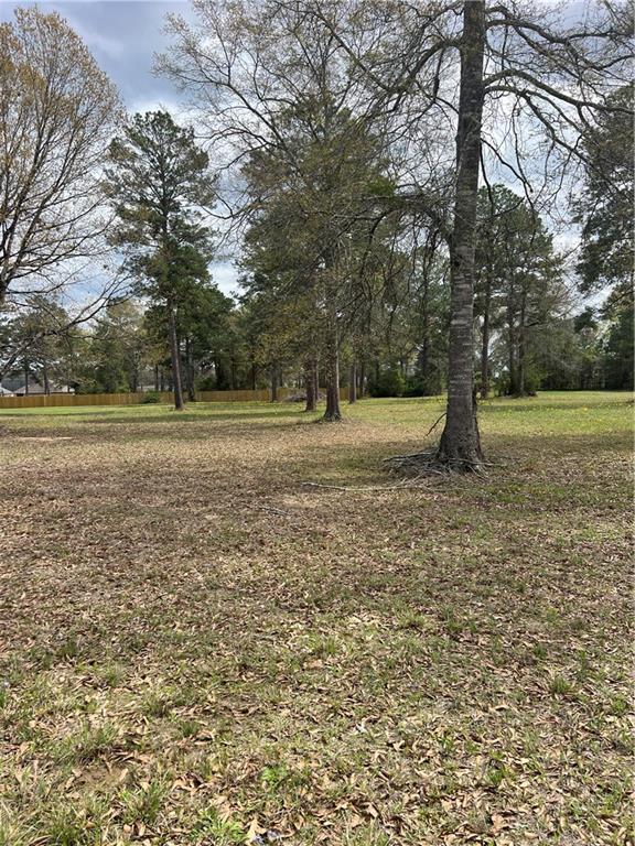 152 Graystone Road Dry Prong, LA 71423 - Photo 3 of 4 Gallery Image 3