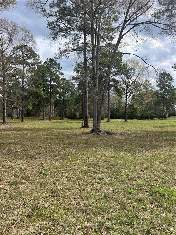 152 Graystone Road Dry Prong, LA 71423 - Photo 4 of 4 Gallery Image 4