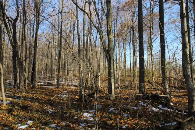 $165,000 | 58573 Oak Grove Road, Cassopolis, MI 49031