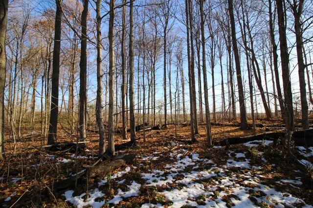 $165,000 | 58573 Oak Grove Road, Cassopolis, MI 49031