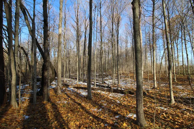 $165,000 | 58573 Oak Grove Road, Cassopolis, MI 49031