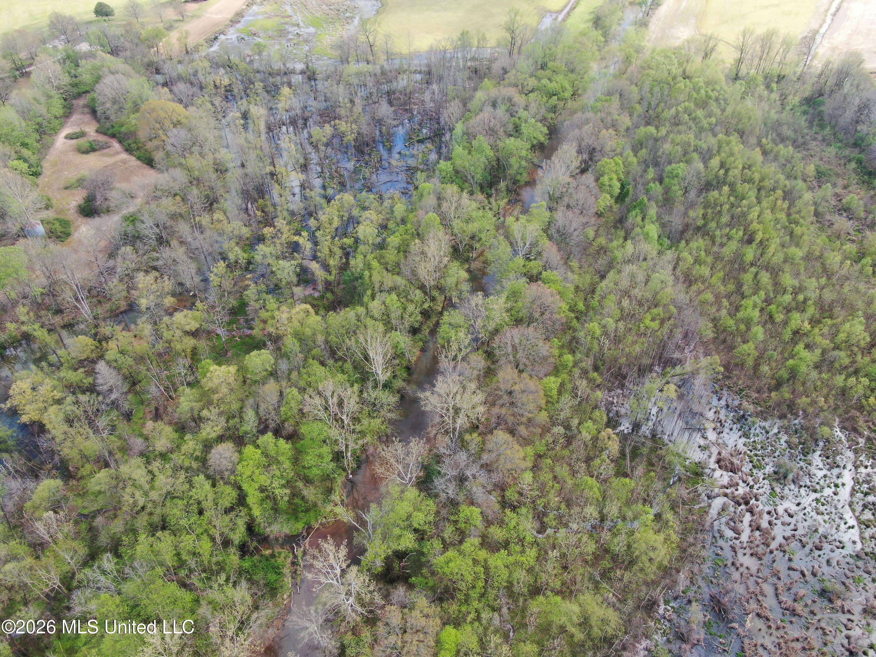 350 Miller Road Michigan City, MS 38647 - Photo 11 of 28 DJI_0928