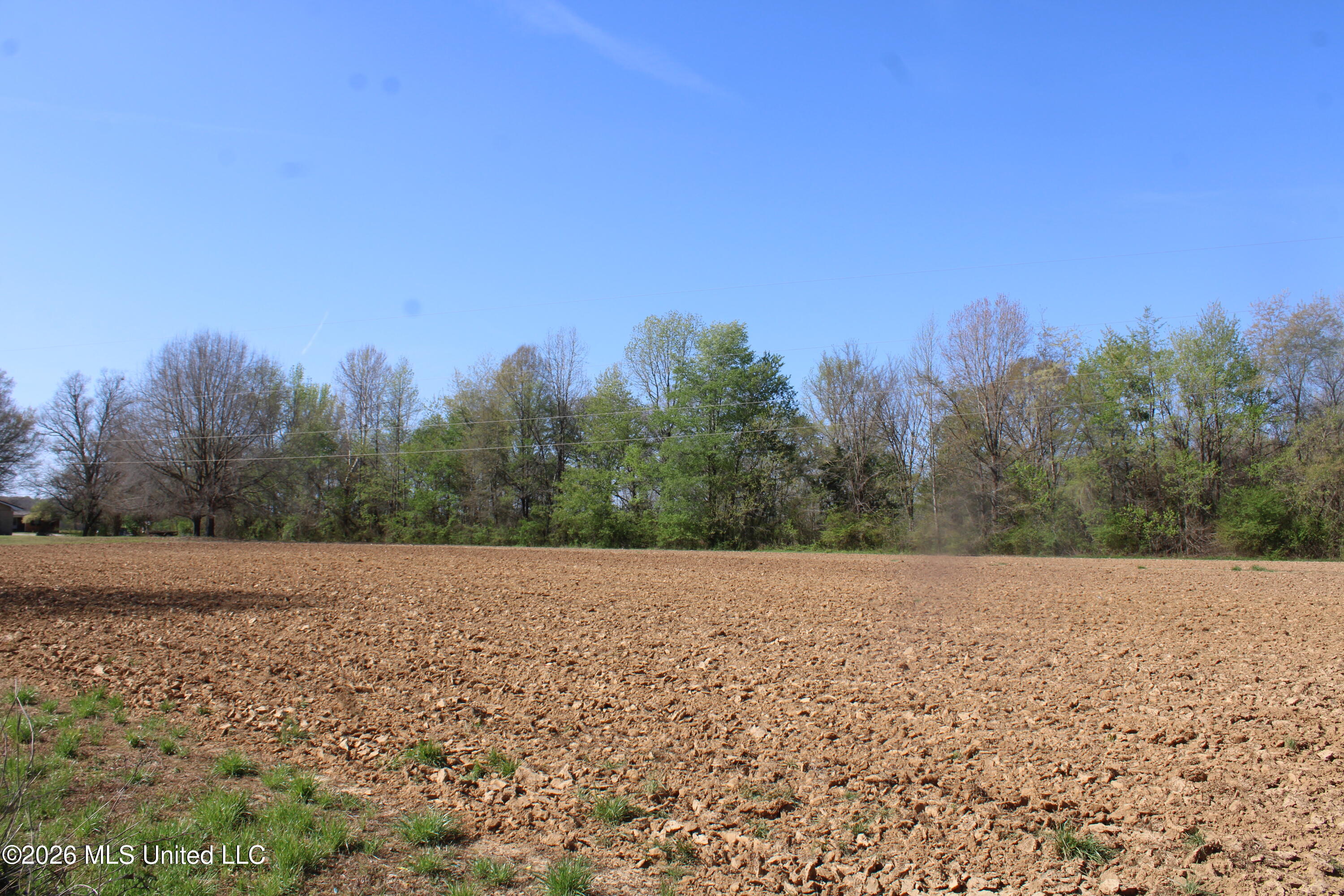 350 Miller Road Michigan City, MS 38647 - Photo 18 of 28 IMG_7641