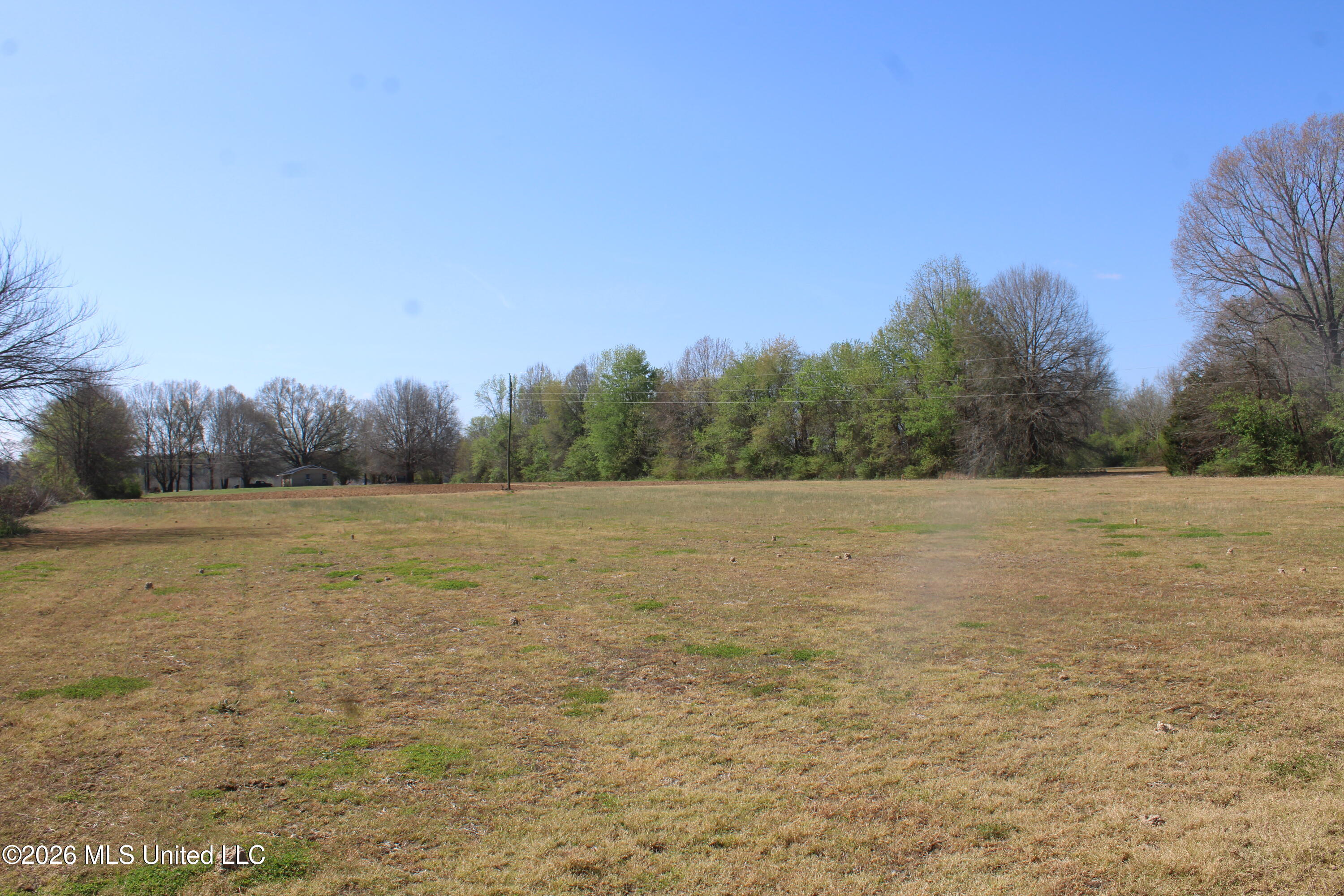 350 Miller Road Michigan City, MS 38647 - Photo 20 of 28 IMG_7643