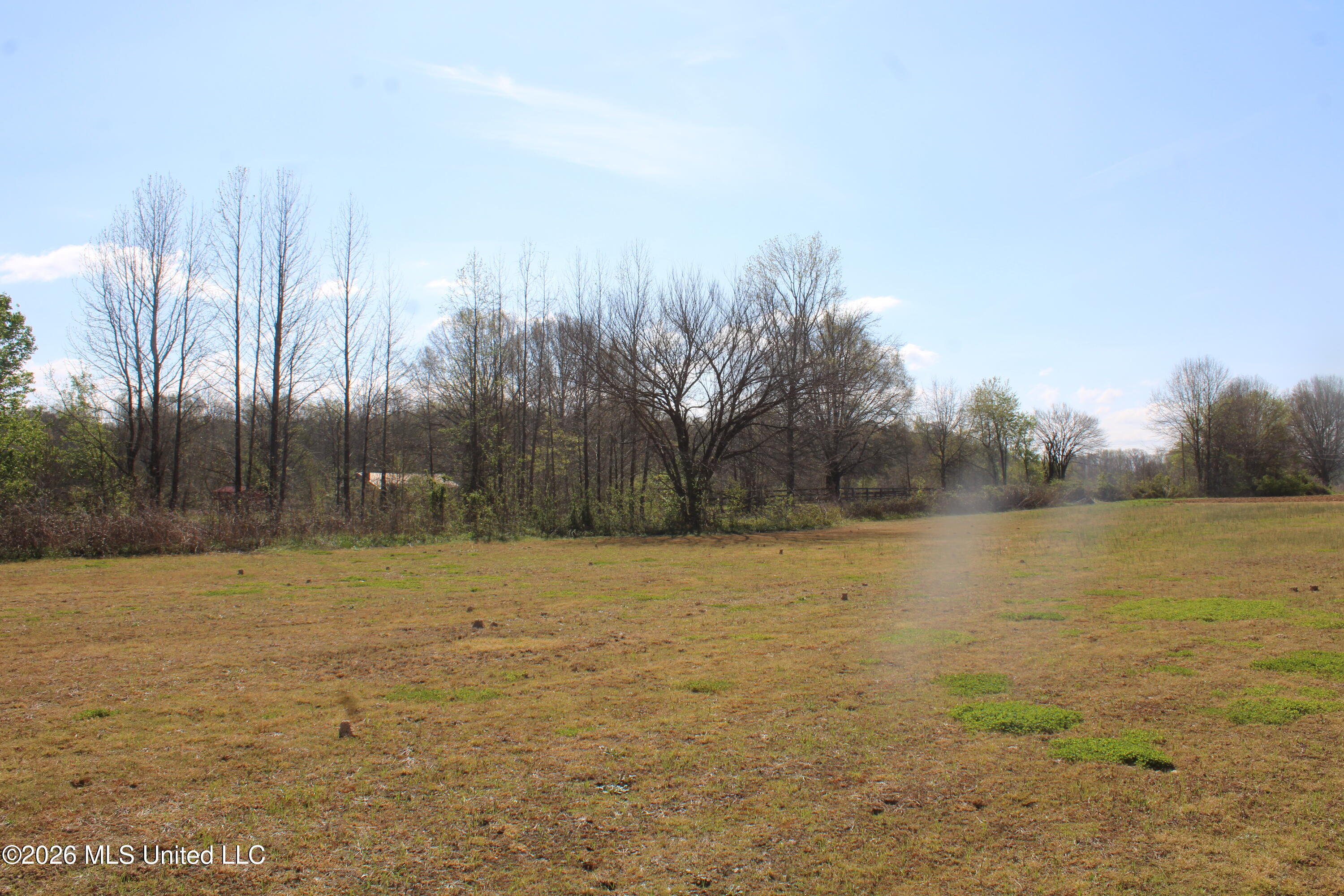 350 Miller Road Michigan City, MS 38647 - Photo 21 of 28 IMG_7644
