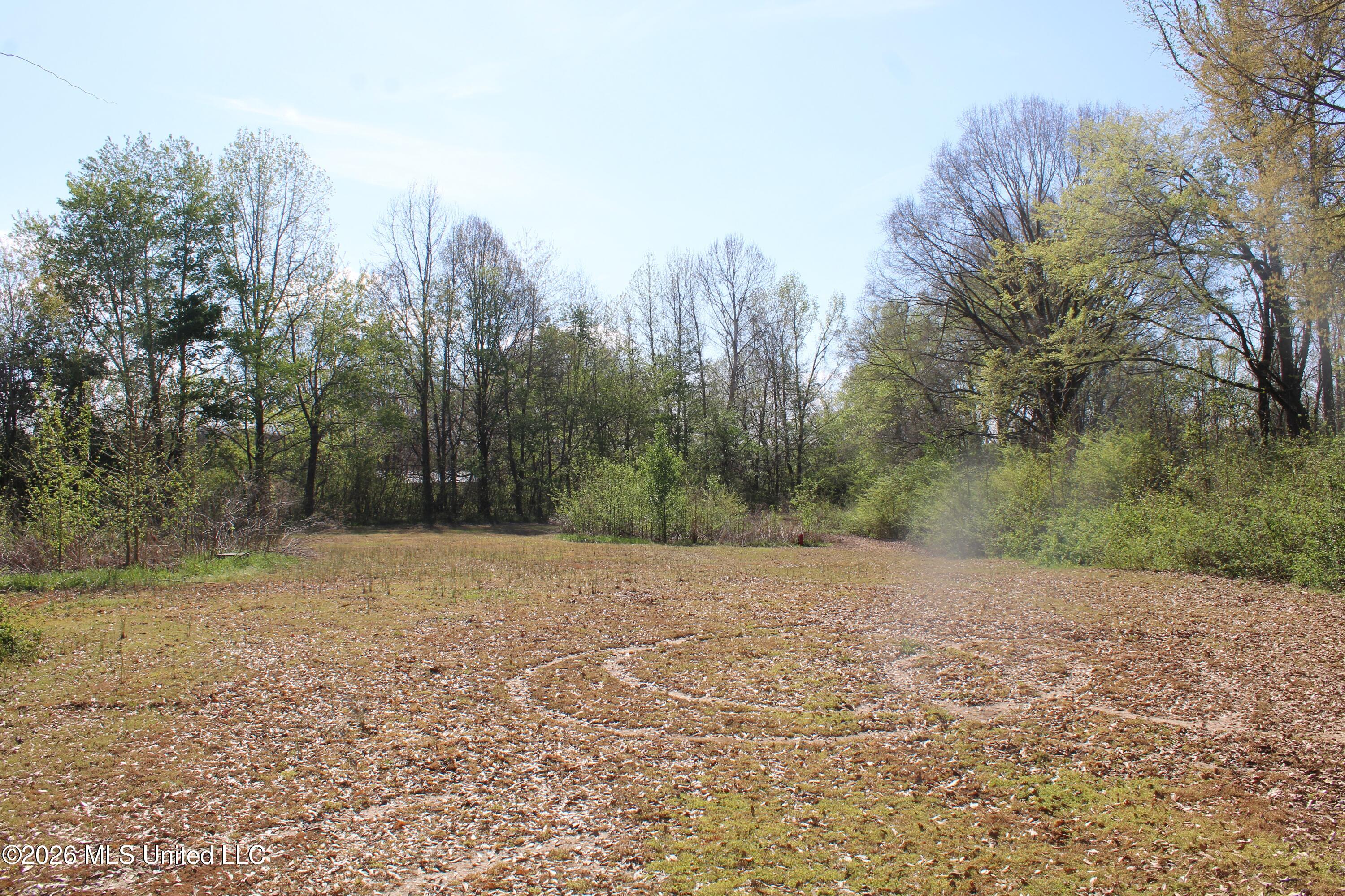 350 Miller Road Michigan City, MS 38647 - Photo 24 of 28 IMG_7648