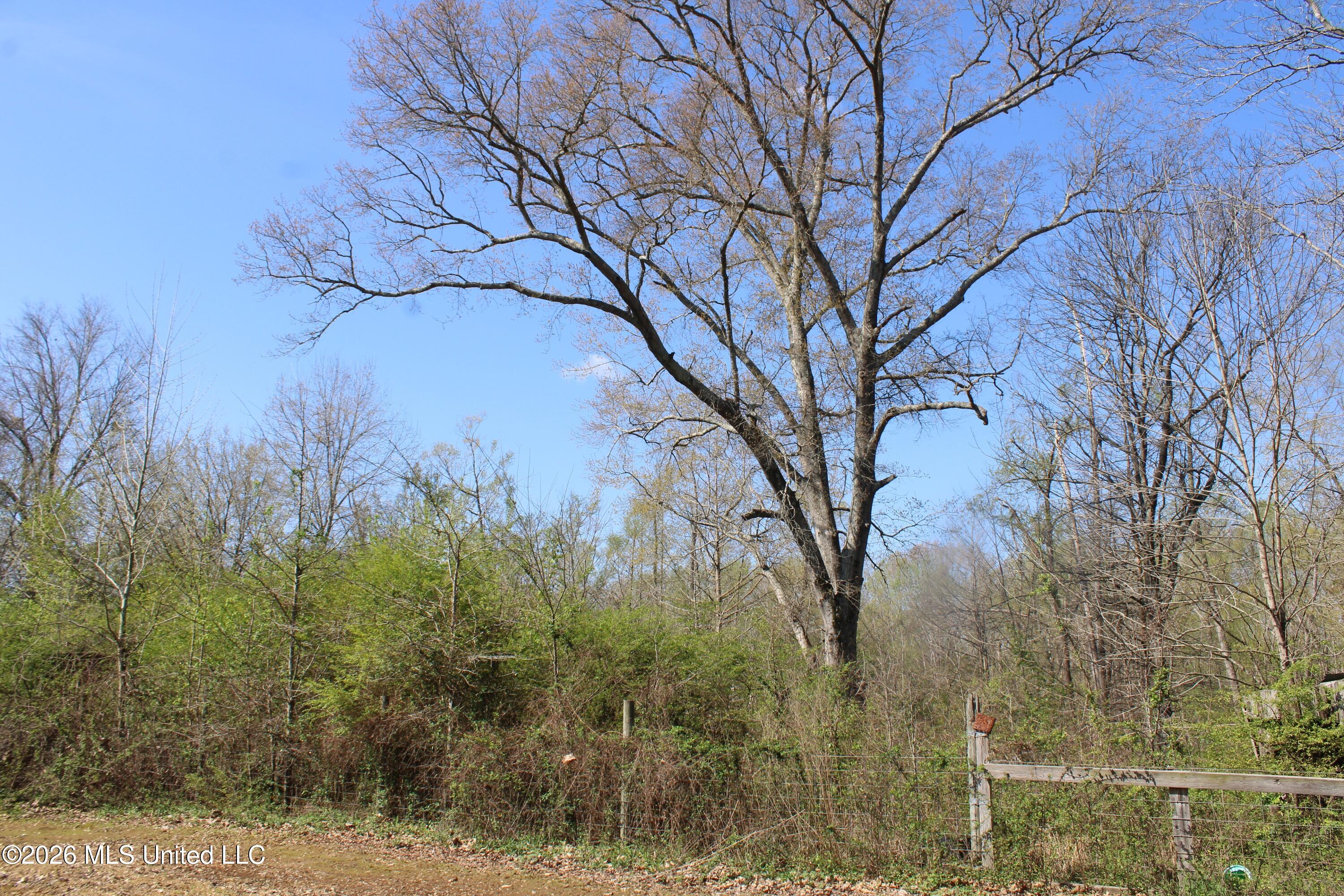 350 Miller Road Michigan City, MS 38647 - Photo 26 of 28 IMG_7650