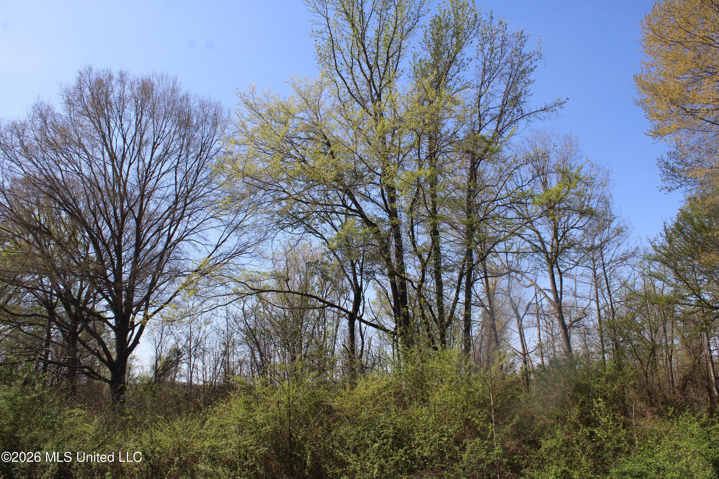 350 Miller Road Michigan City, MS 38647 - Photo 27 of 28 IMG_7651