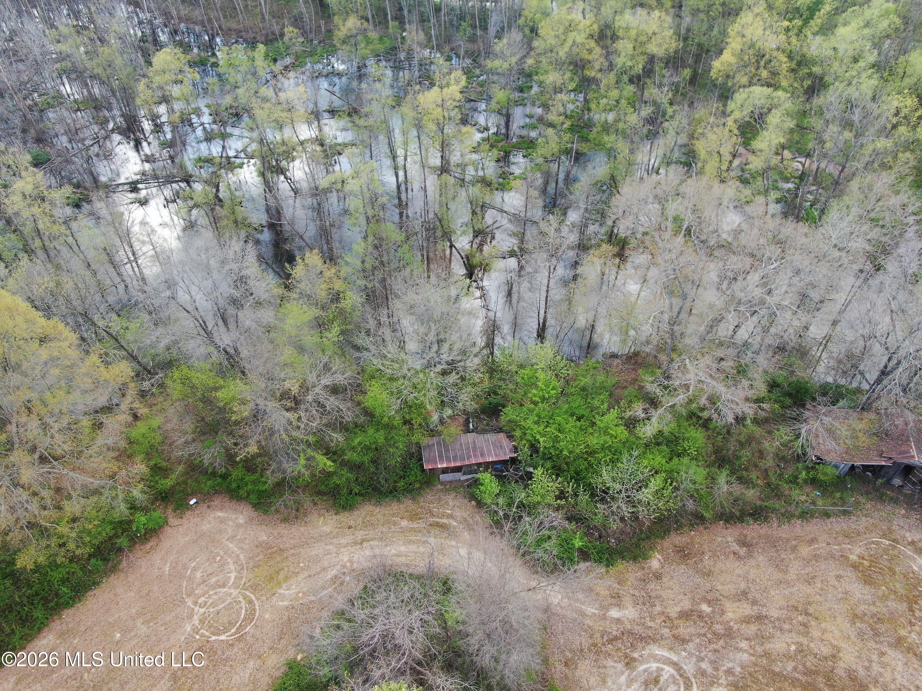 350 Miller Road Michigan City, MS 38647 - Photo 3 of 28 DJI_0936