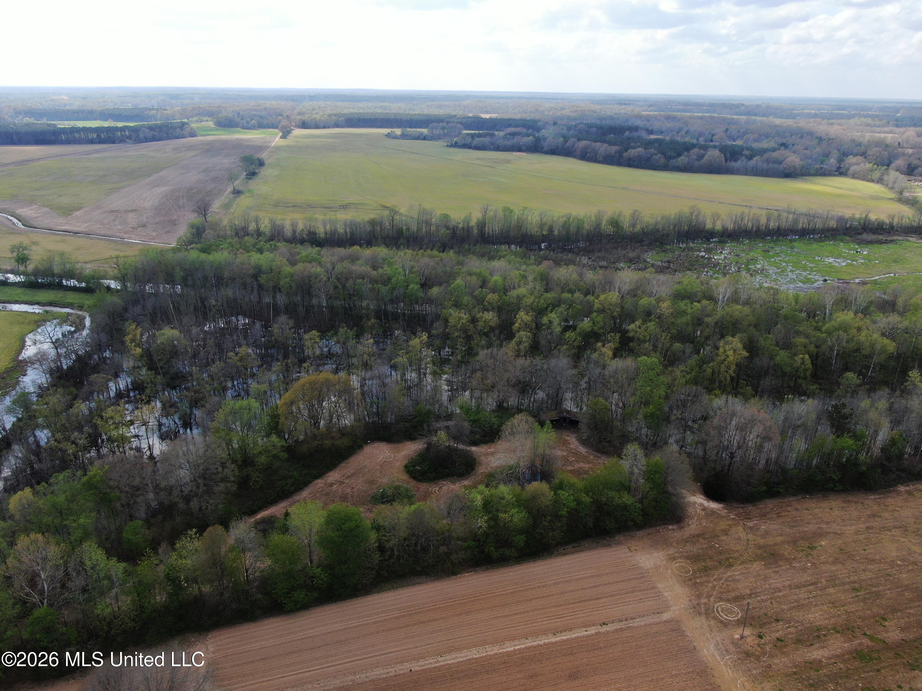 350 Miller Road Michigan City, MS 38647 - Photo 5 of 28 DJI_0934