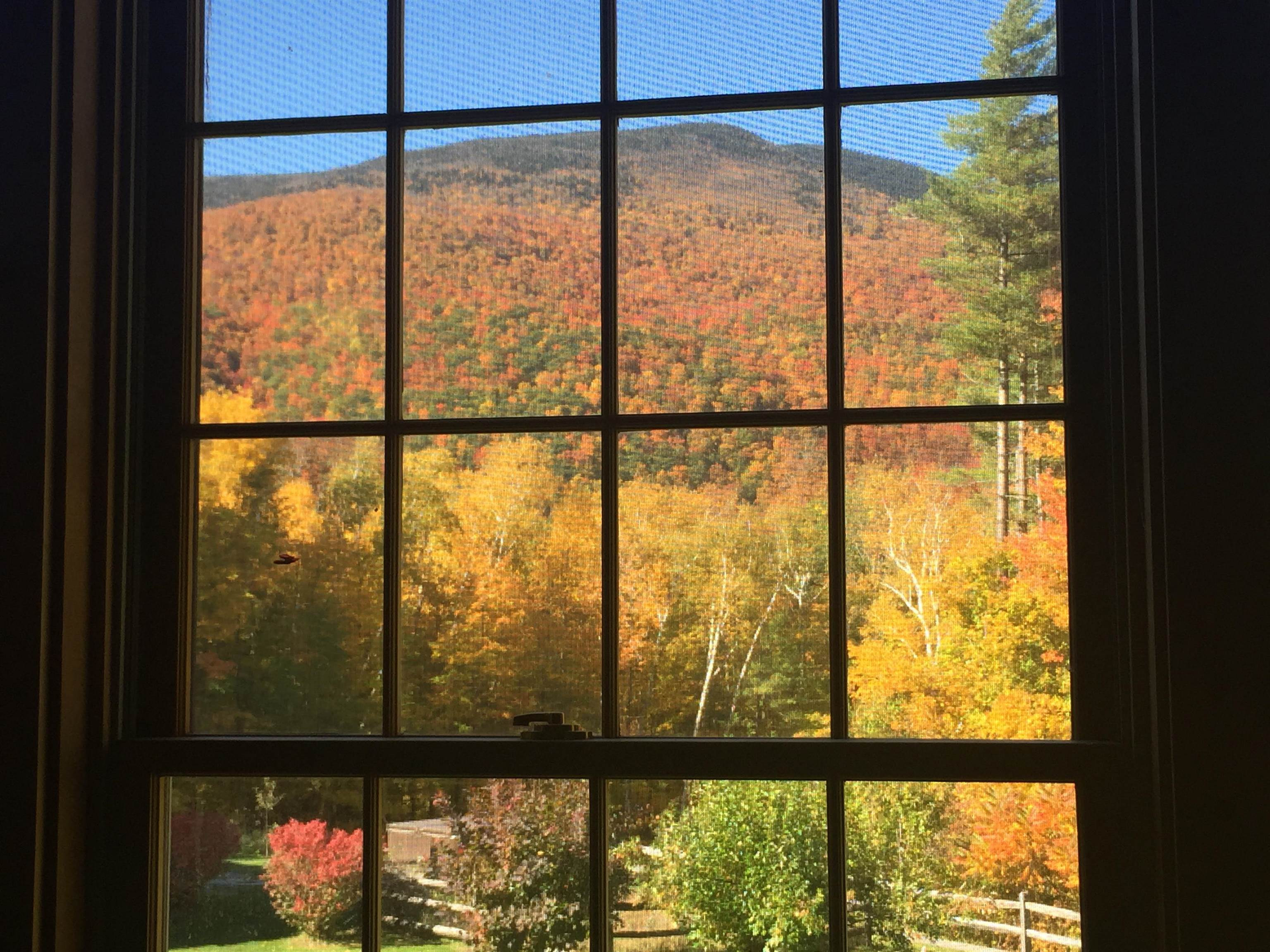 808 South End Road Mount Tabor, VT 05253 - Photo 48 of 51