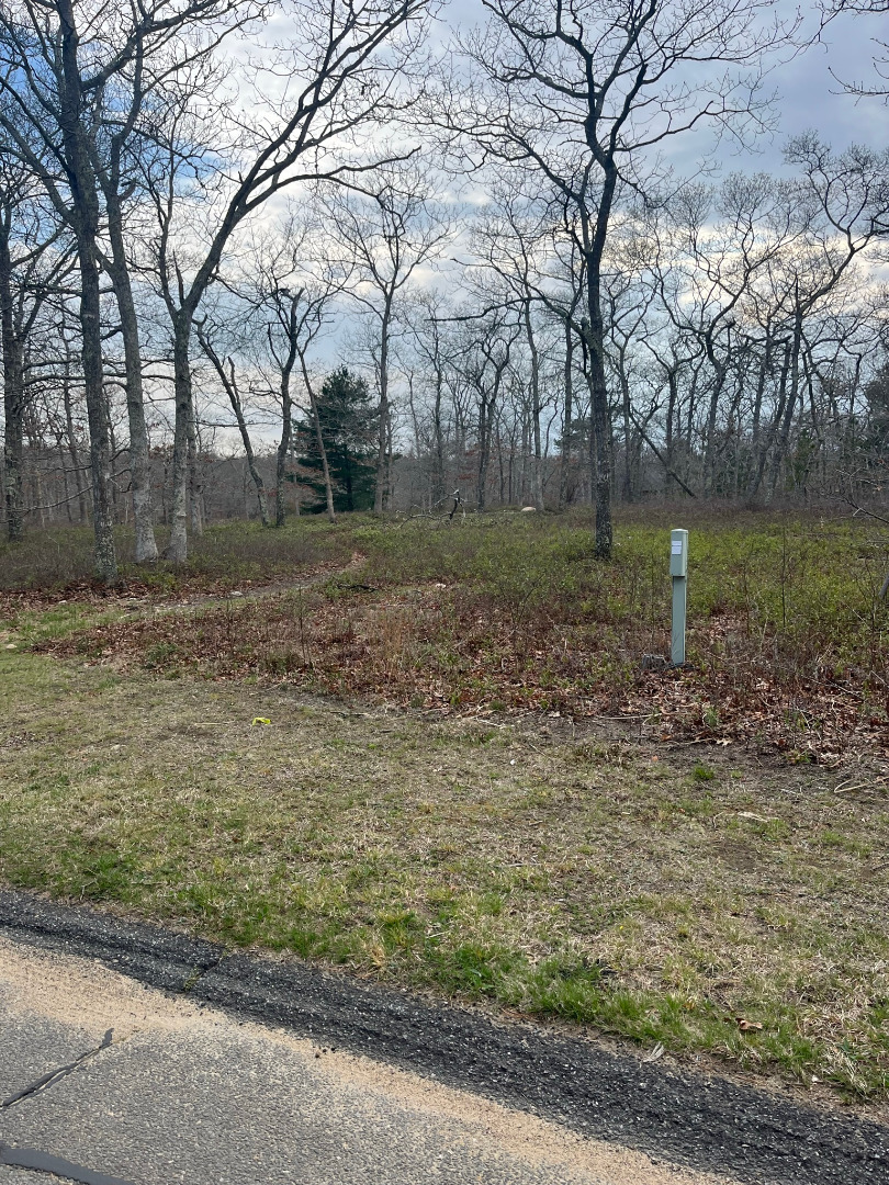 0 Bridle Path Road Oak Bluffs, MA 02557 - Photo 2 of 10 a backyard of a house with lots of green space