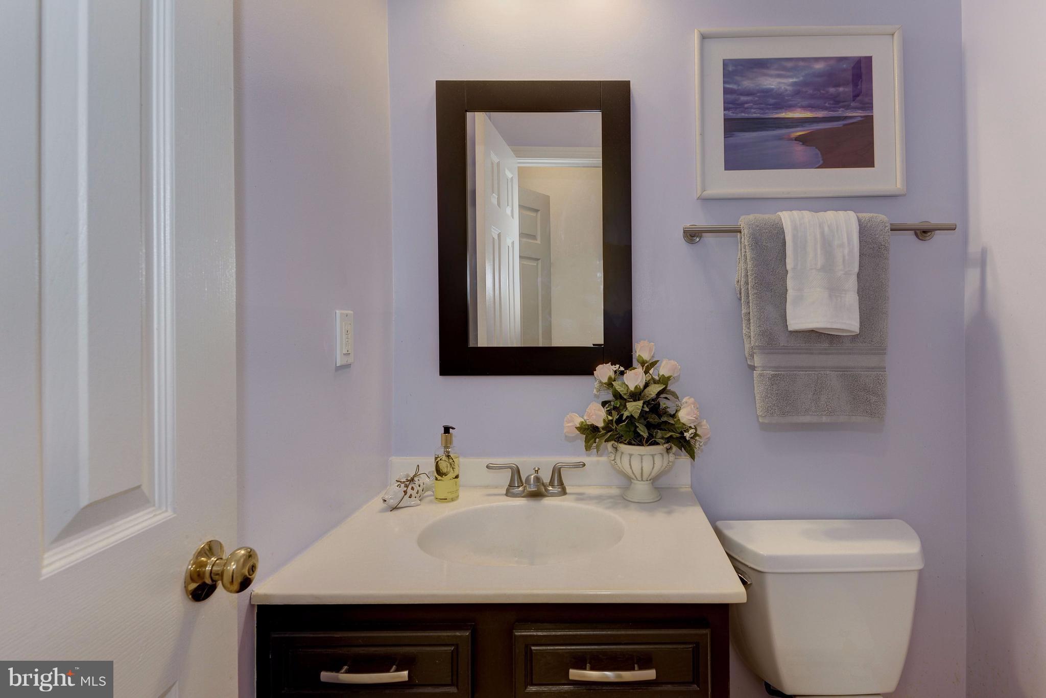 28 Treworthy Road Gaithersburg, MD 20878 - Photo 15 of 30 Powder Room