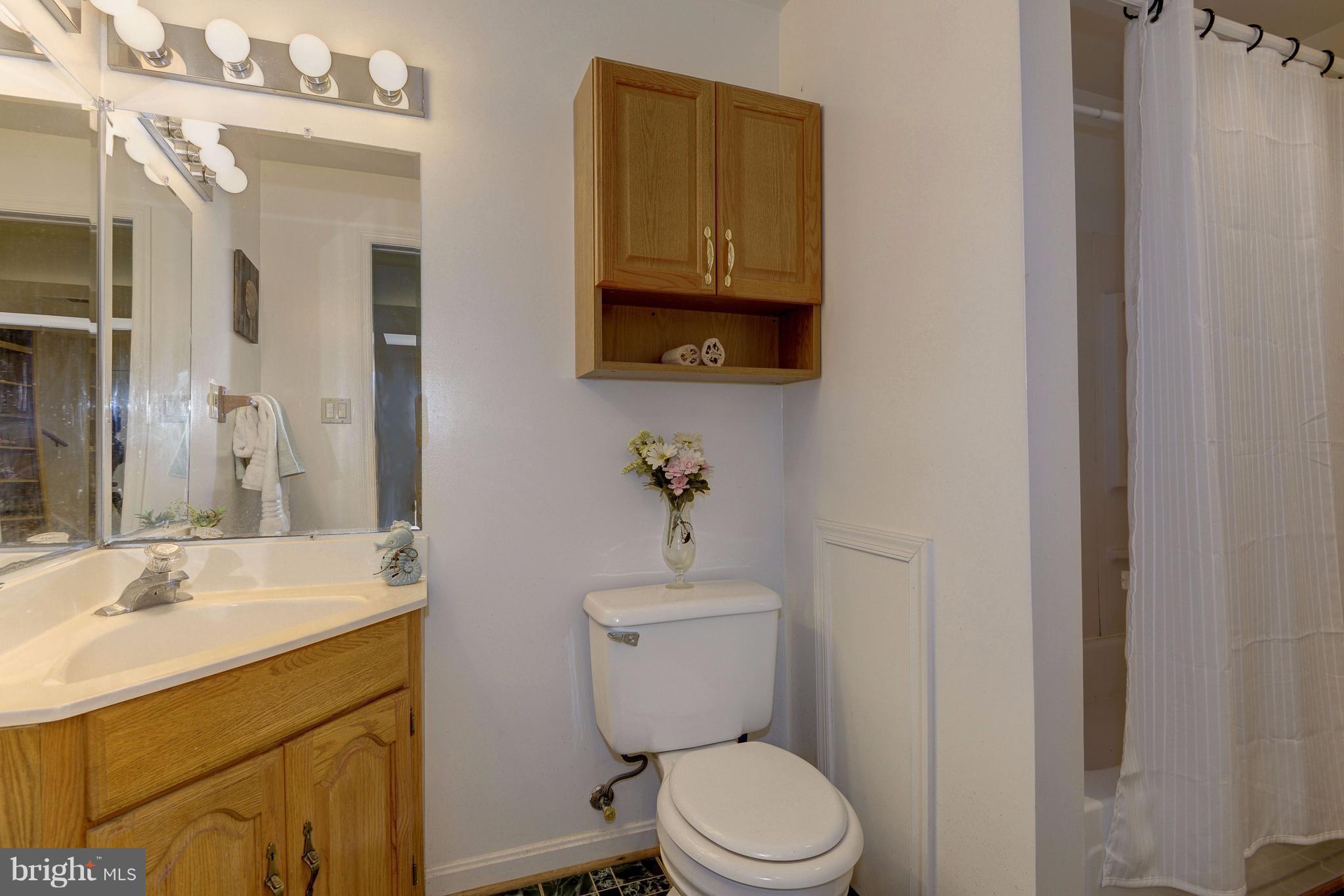 28 Treworthy Road Gaithersburg, MD 20878 - Photo 25 of 30 Lower Level Full Bath
