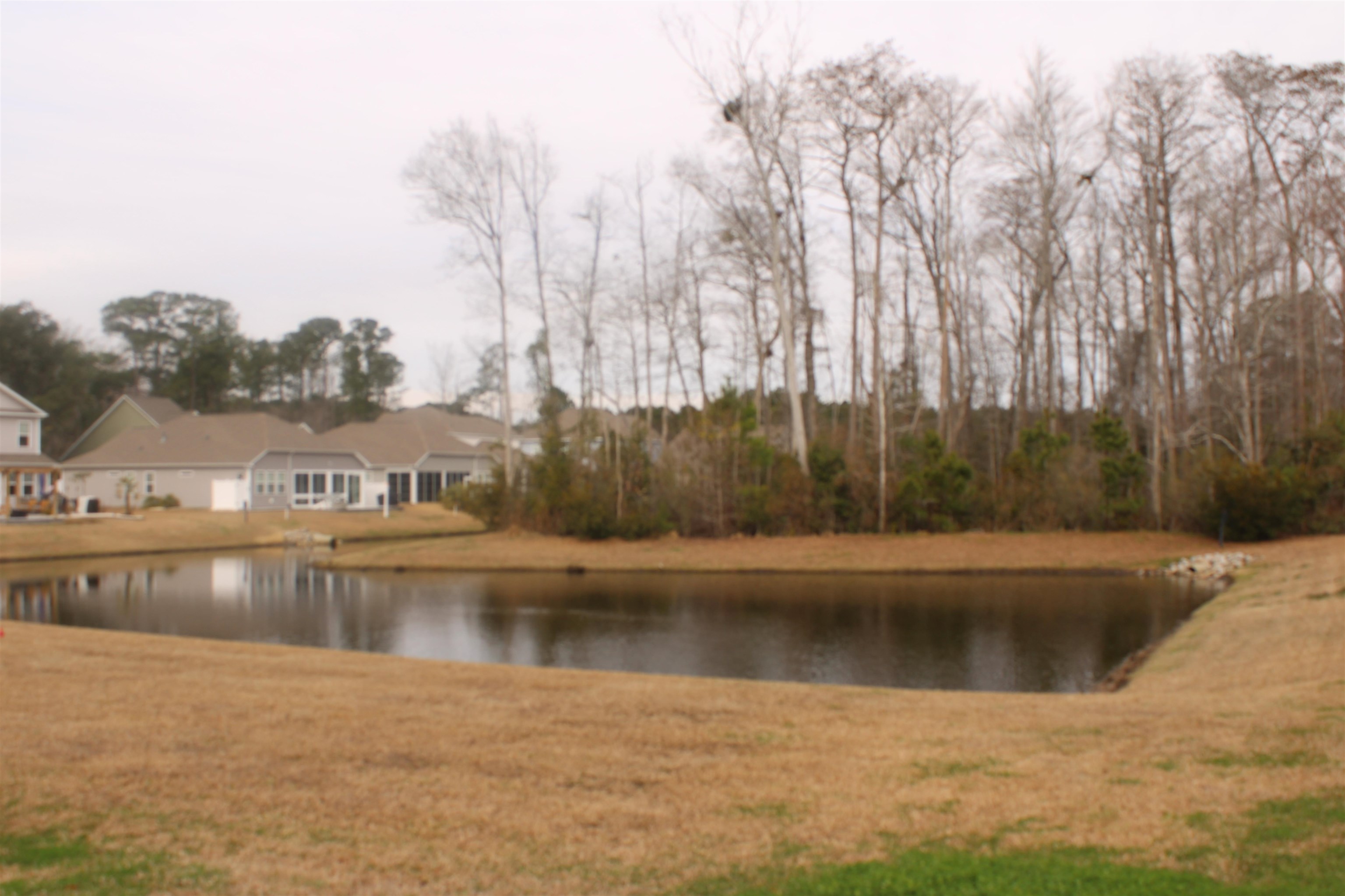 504 Patapsco Street Little River, SC 29566 - Photo 7 of 30