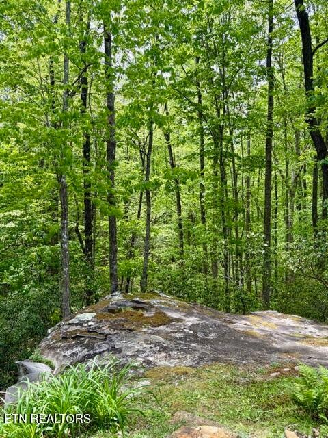 331 East Cove Road Monterey, TN 38574 - Photo 7 of 55 Gallery Image 7