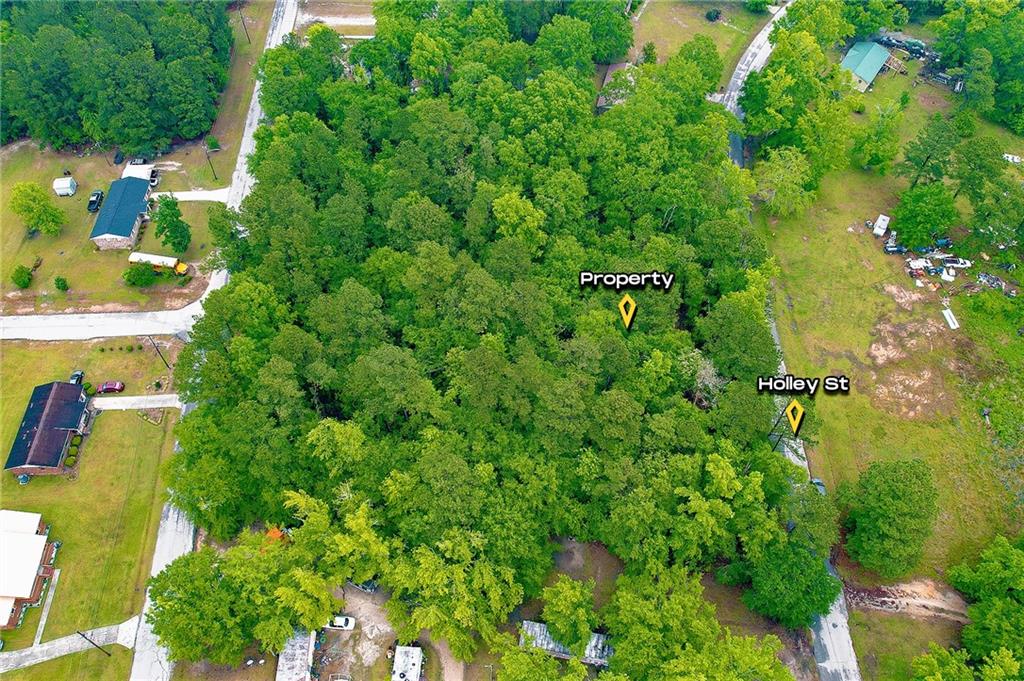 0 Holley Road Wrens, GA 30833 - Photo 5 of 7