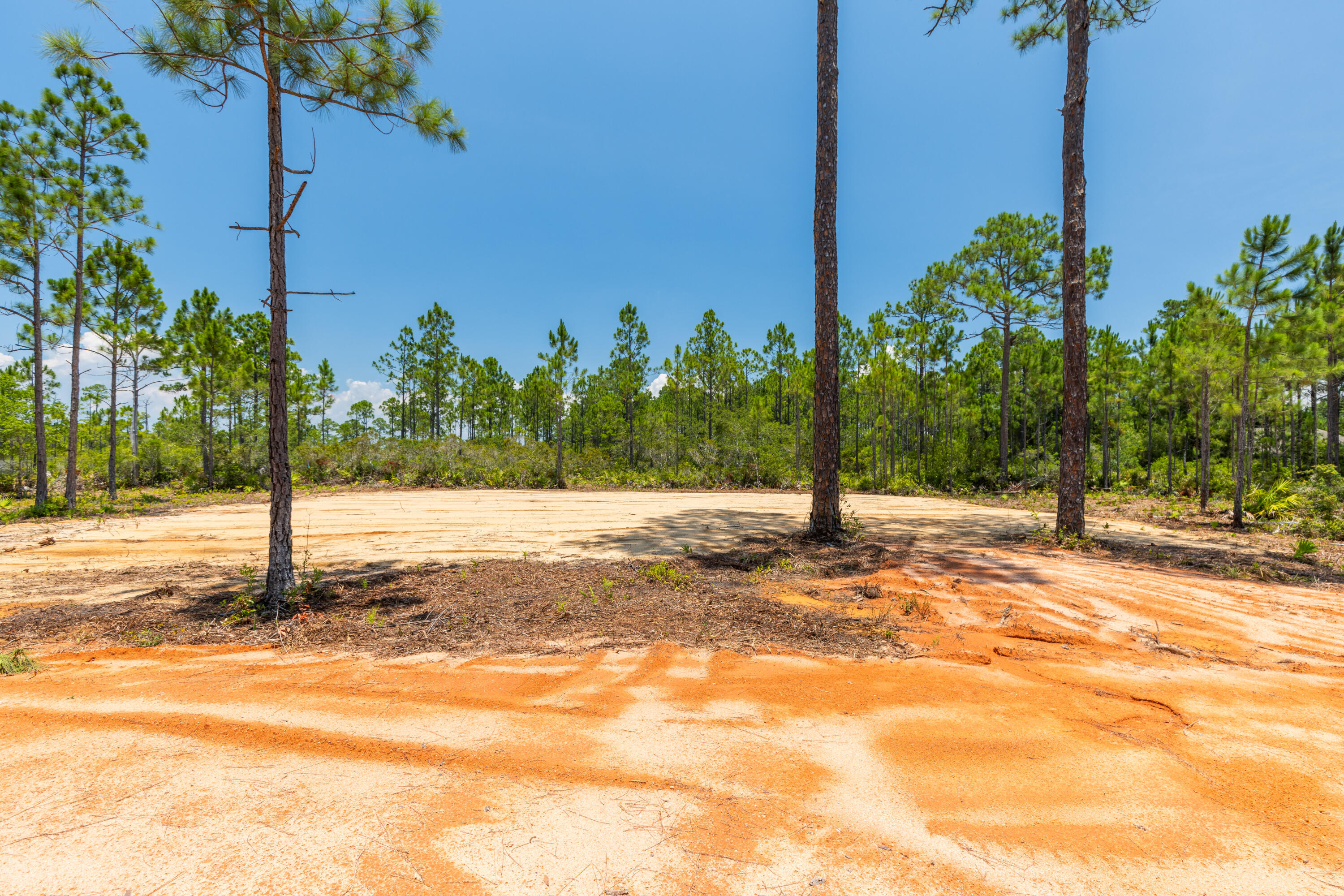 Lot 2-blk Lot 2-blk F Exclusive Beach Santa Rosa Beach, FL 32459 - Photo 1 of 22 a view of a backyard of a house