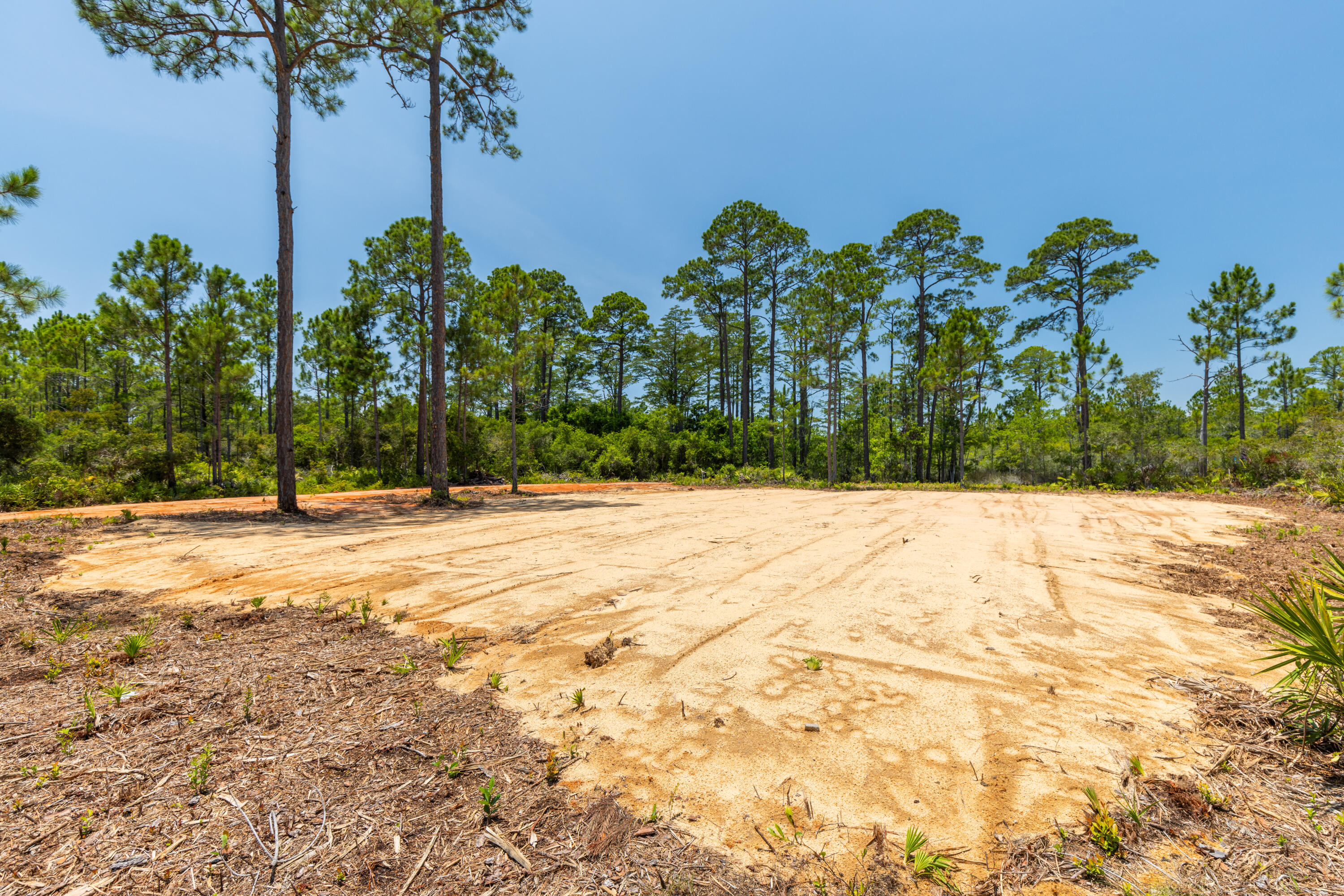 Lot 2-blk Lot 2-blk F Exclusive Beach Santa Rosa Beach, FL 32459 - Photo 11 of 22 a view of a backyard