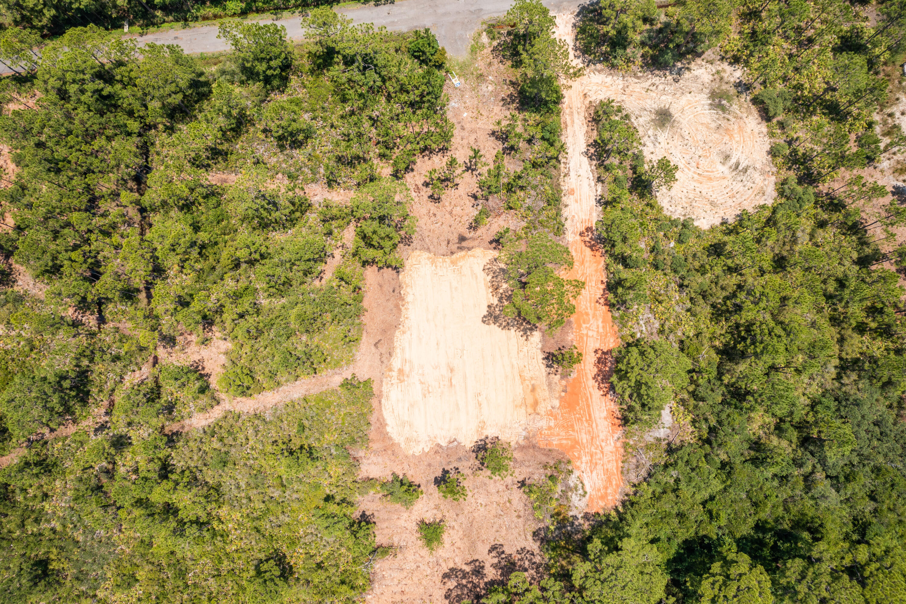 Lot 2-blk Lot 2-blk F Exclusive Beach Santa Rosa Beach, FL 32459 - Photo 16 of 22 a view of a yard with trees
