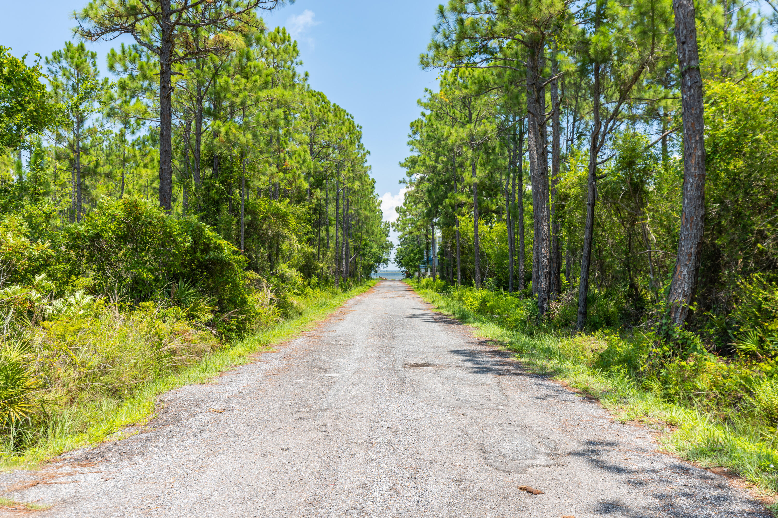 Lot 2-blk Lot 2-blk F Exclusive Beach Santa Rosa Beach, FL 32459 - Photo 4 of 22 a view of a pathway both side of yard