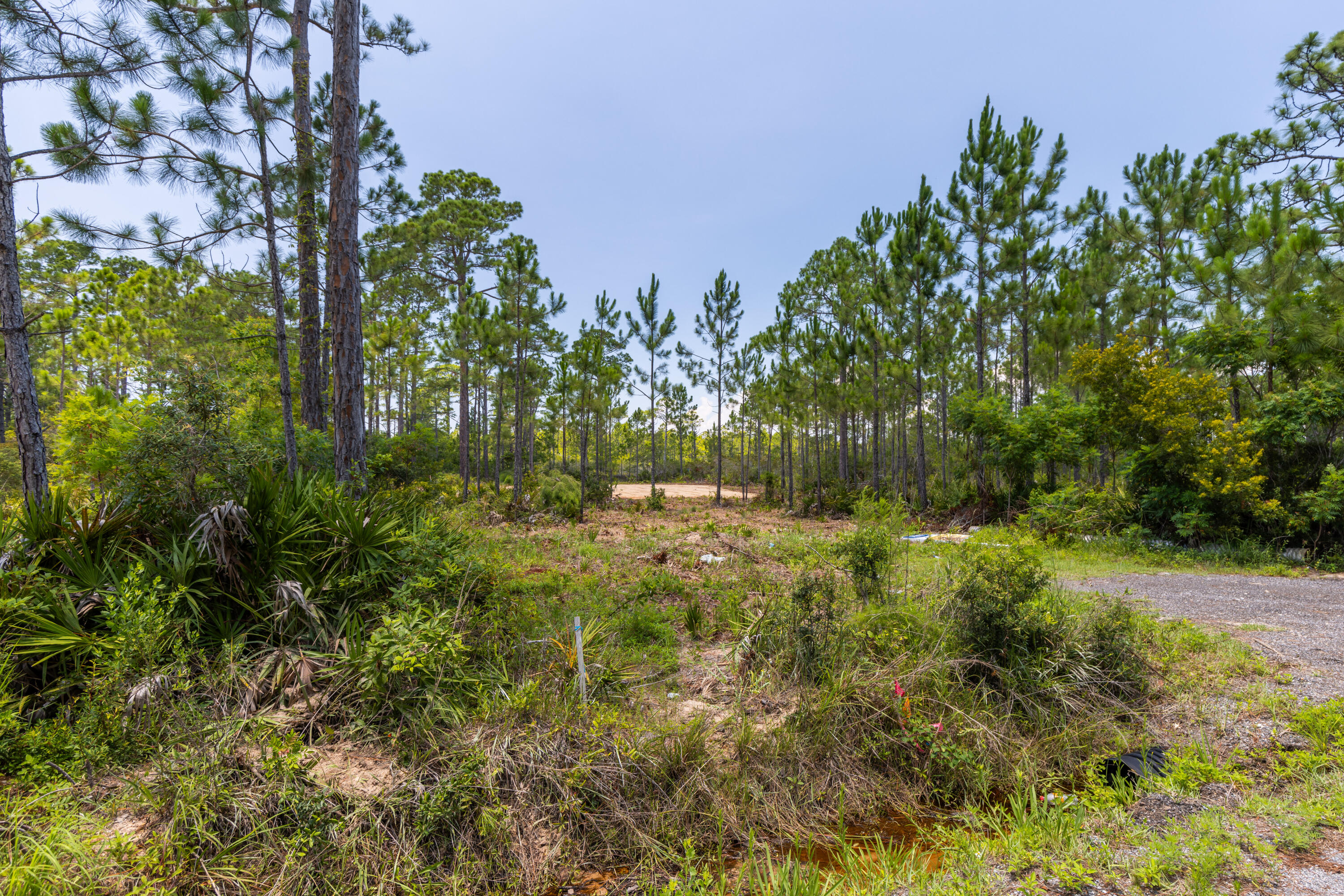 Lot 2-blk Lot 2-blk F Exclusive Beach Santa Rosa Beach, FL 32459 - Photo 5 of 22 a view of backyard with green space