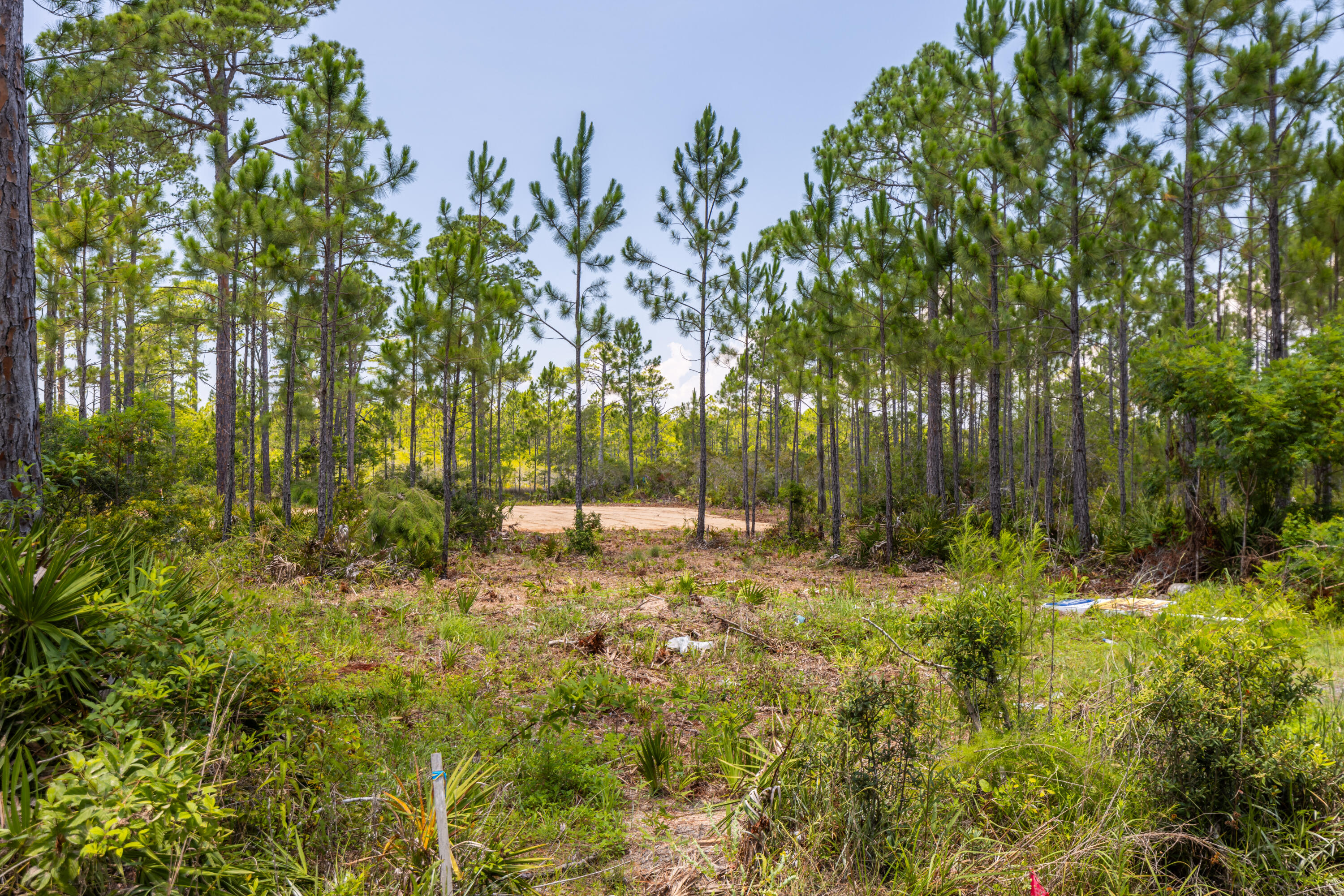 Lot 2-blk Lot 2-blk F Exclusive Beach Santa Rosa Beach, FL 32459 - Photo 6 of 22 a view of backyard with tree