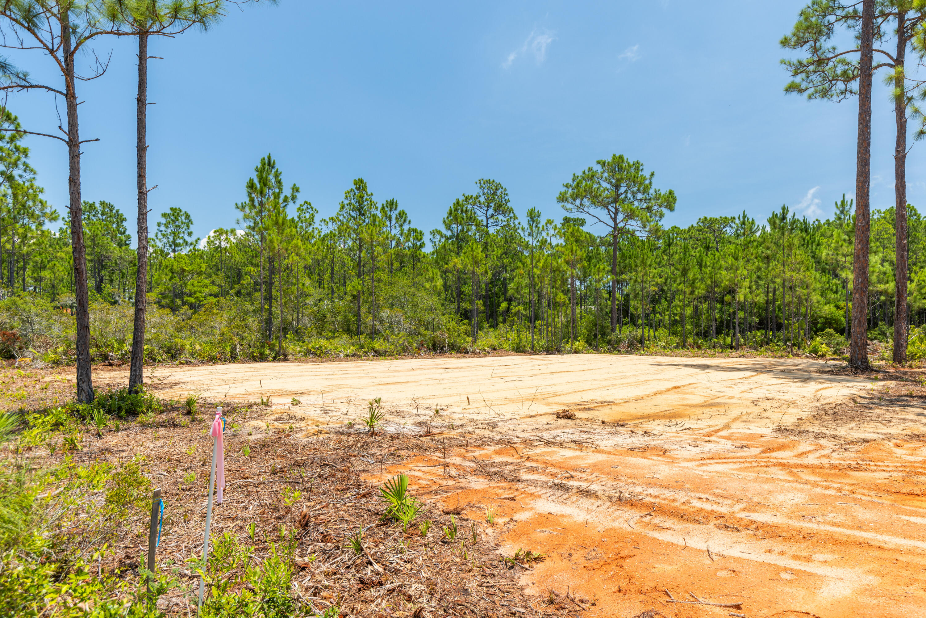 Lot 2-blk Lot 2-blk F Exclusive Beach Santa Rosa Beach, FL 32459 - Photo 8 of 22 a view of a yard