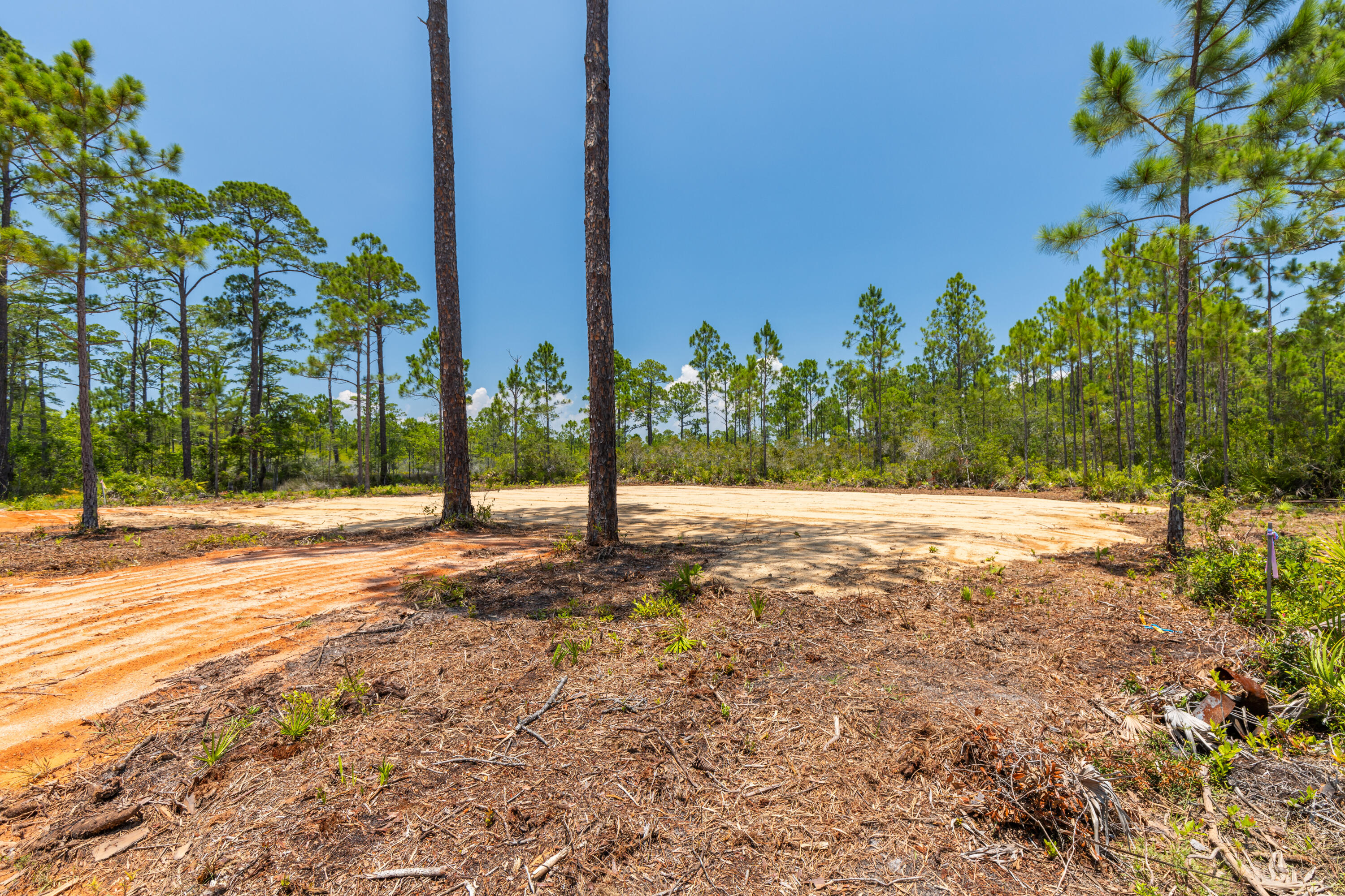 Lot 2-blk Lot 2-blk F Exclusive Beach Santa Rosa Beach, FL 32459 - Photo 9 of 22 a view of a yard with a tree