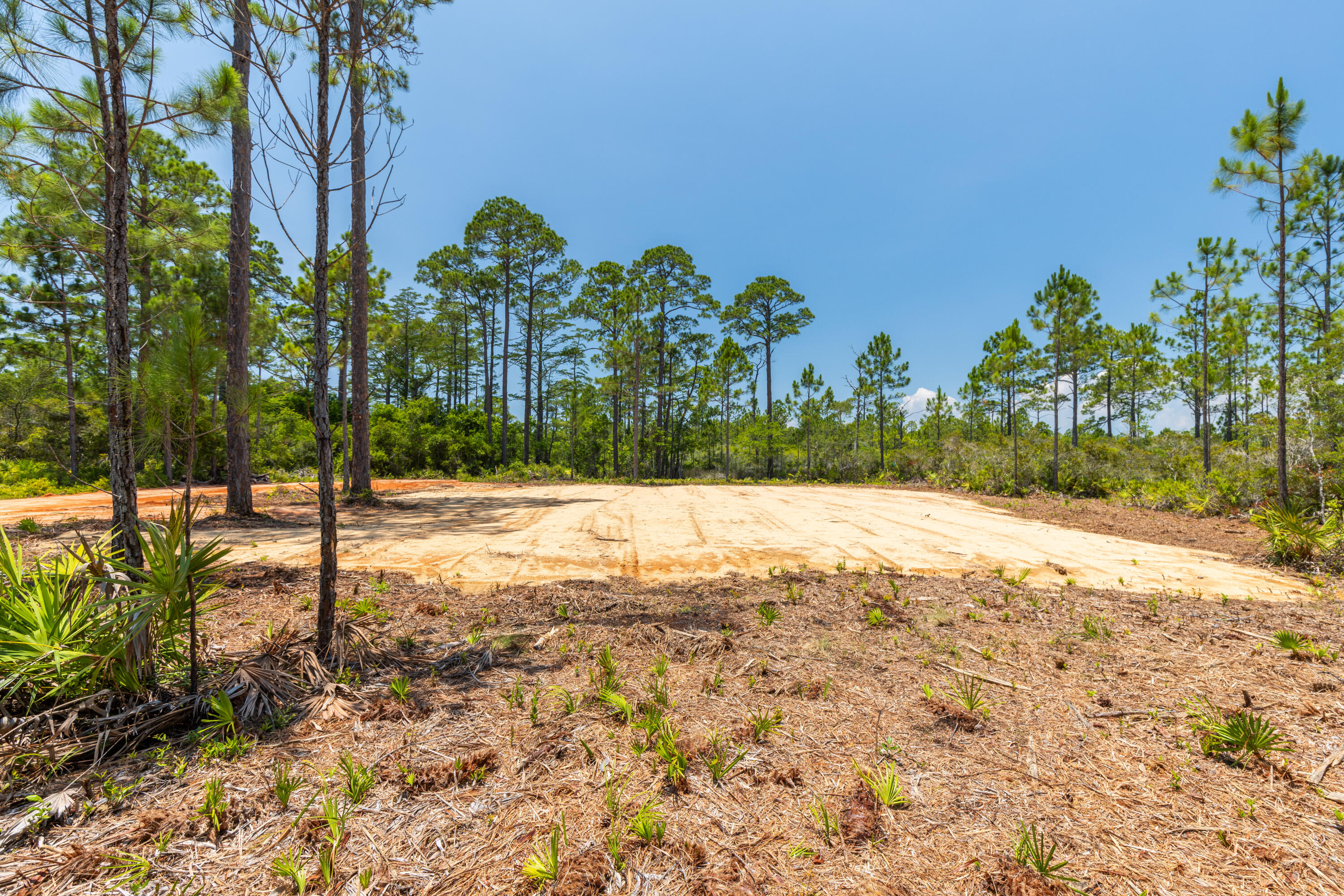 Lot 2-blk Lot 2-blk F Exclusive Beach Santa Rosa Beach, FL 32459 - Photo 10 of 22 a view of a yard with plants