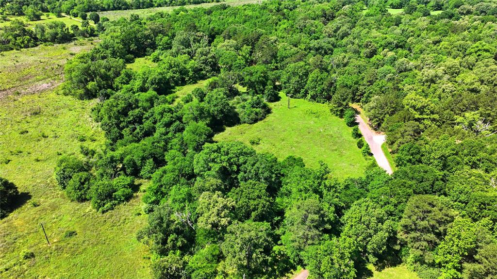 4091 County Road 2206 Rusk, TX 75785 - Photo 7 of 12 a view of a garden
