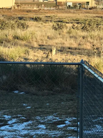 $950,000 | 9550 Farm To Market Road 1714, Canyon, TX 79015