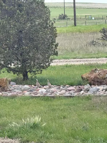 $950,000 | 9550 Farm To Market Road 1714, Canyon, TX 79015