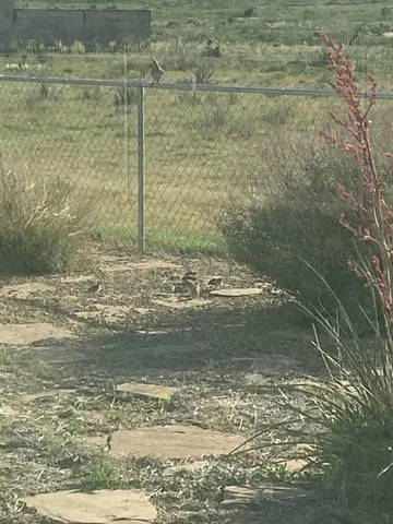 $950,000 | 9550 Farm To Market Road 1714, Canyon, TX 79015