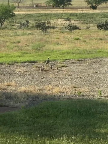 $950,000 | 9550 Farm To Market Road 1714, Canyon, TX 79015